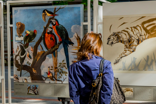 La Ruta del Arte BBK: "Animalario" — imagen 2