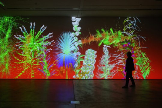 "Digital Floralia", Miguel Chevalierren erakusketa — irudia 2