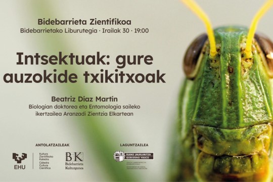 Bilbo Zientzia Plaza 2026: "Insectos: nuestros diminutos vecinos" — imagen 2