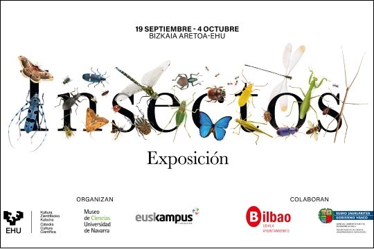 Bilbo Zientzia Plaza (BZP) 2026: "Insectos. Todo lo que cuentan" — imagen 2