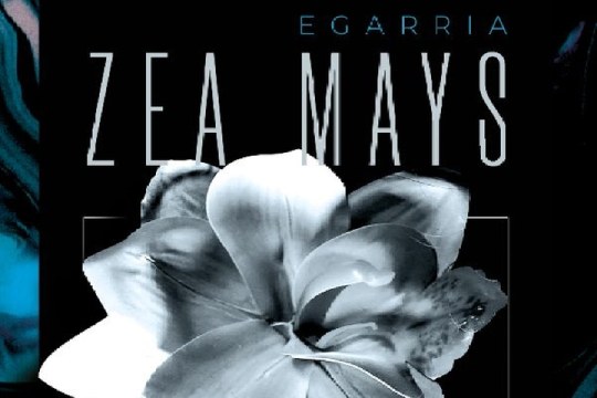 Sarrerak Zea Mays (otsailak 20 - Totem)