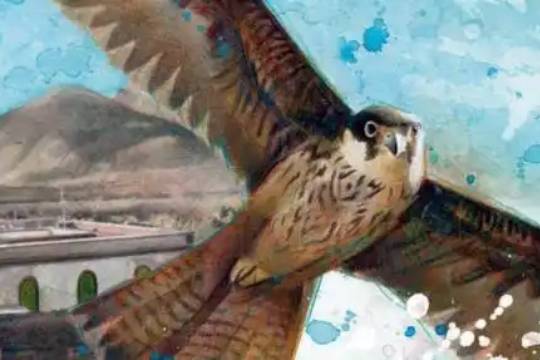 Txoriastea 2026: "Centinelas del viento"