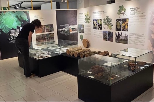 "Siete árboles clave. Árboles y bosques del País Vasco"