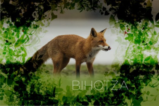 Documental: "Bihotza"